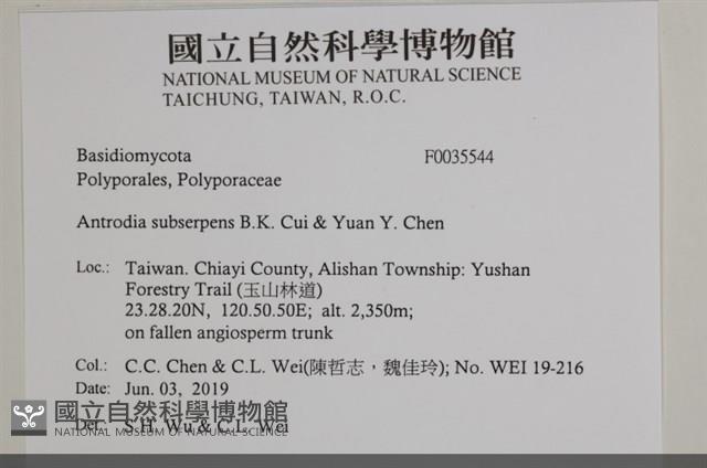 登錄號:F0035544藏品圖，第2張