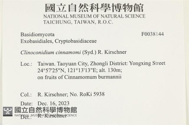 登錄號:F0038144藏品圖，第2張