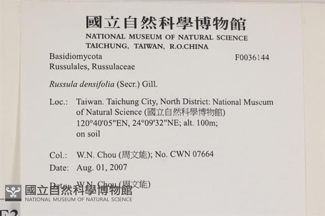 登錄號:F0036144藏品圖，第2張