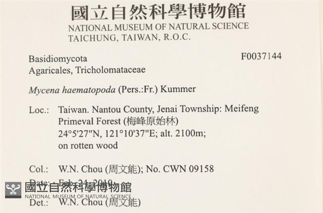 登錄號:F0037144藏品圖，第2張