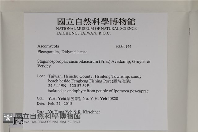 登錄號:F0035144藏品圖，第2張