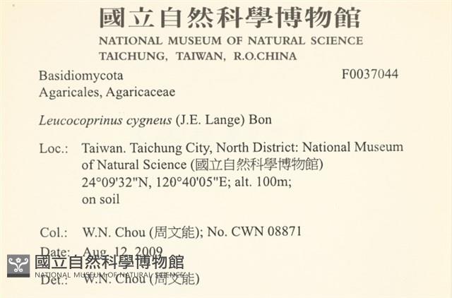 登錄號:F0037044藏品圖，第2張