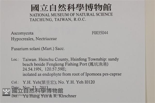 登錄號:F0035044藏品圖，第2張