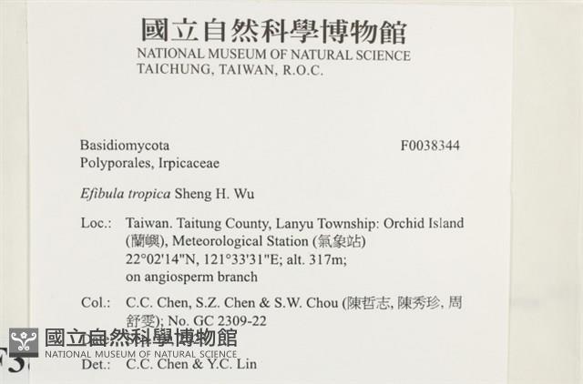 登錄號:F0038344藏品圖，第2張