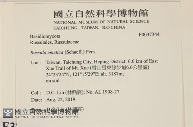 登錄號:F0037344藏品圖，第2張