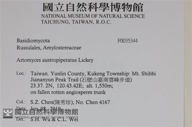 登錄號:F0035344藏品圖，第2張