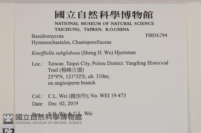 Accession Number:F0036294 Collection Image, Figure 2, Total 2 Figures