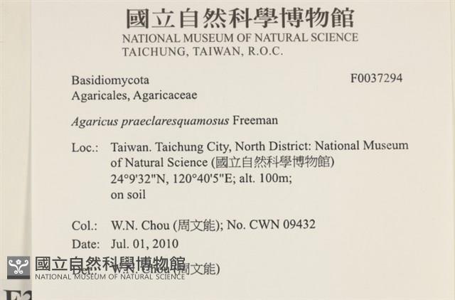 登錄號:F0037294藏品圖，第2張