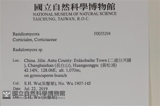 登錄號:F0035294藏品圖，第2張