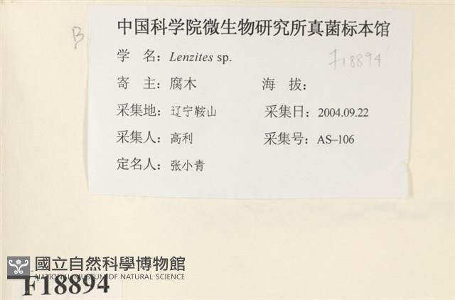 登錄號:F0018894藏品圖，第2張