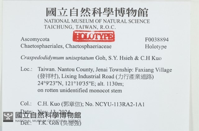 登錄號:F0038894藏品圖，第2張