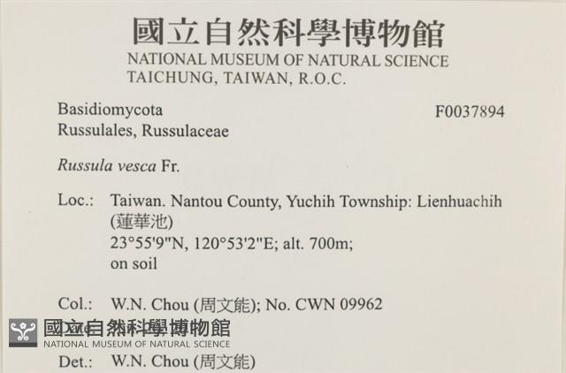 登錄號:F0037894藏品圖，第2張