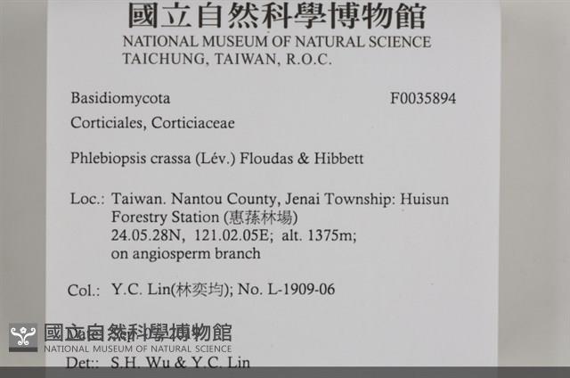 登錄號:F0035894藏品圖，第2張