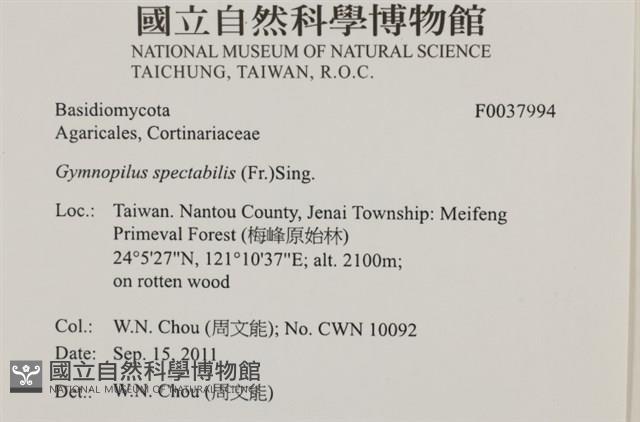 登錄號:F0037994藏品圖，第2張