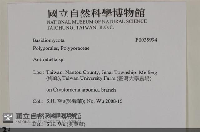 登錄號:F0035994藏品圖，第2張