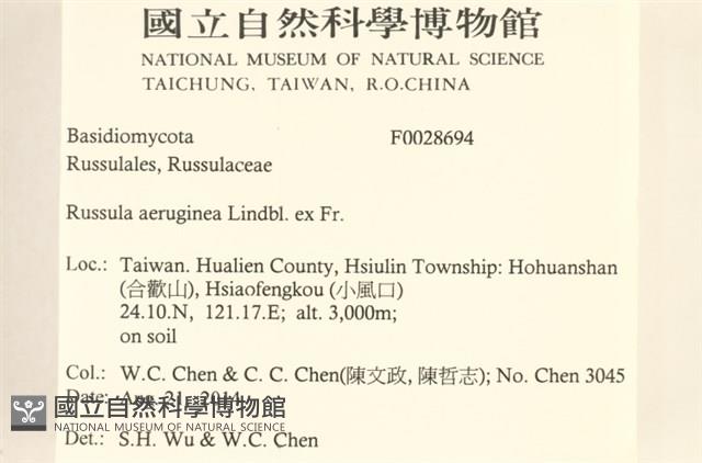 登錄號:F0028694藏品圖，第2張