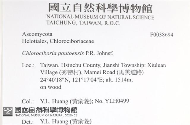 登錄號:F0038694藏品圖，第2張