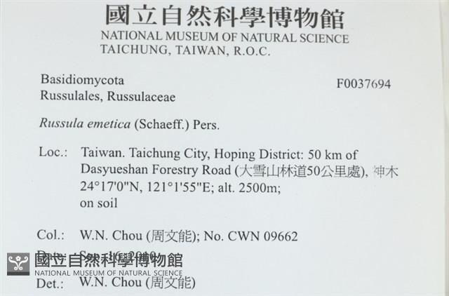 登錄號:F0037694藏品圖，第2張