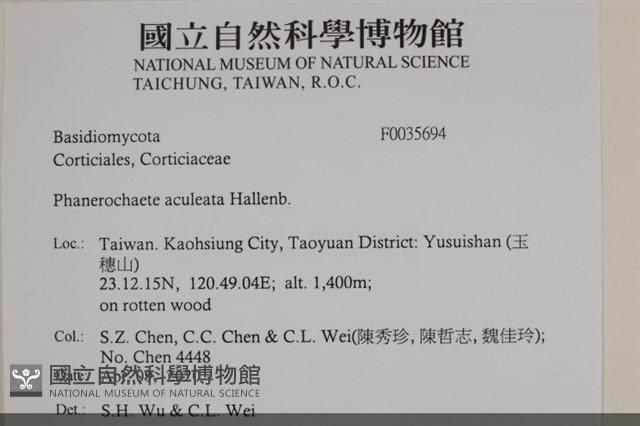 登錄號:F0035694藏品圖，第2張