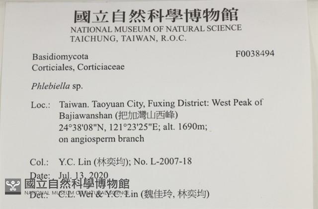 登錄號:F0038494藏品圖，第2張