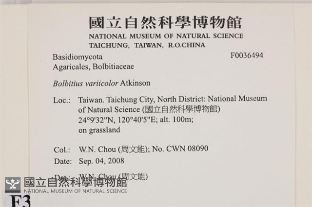 登錄號:F0036494藏品圖，第2張