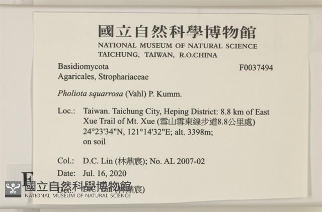 登錄號:F0037494藏品圖，第2張