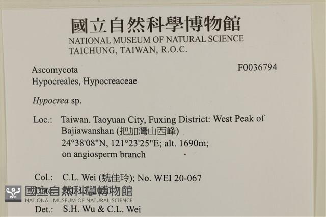 登錄號:F0036794藏品圖，第2張