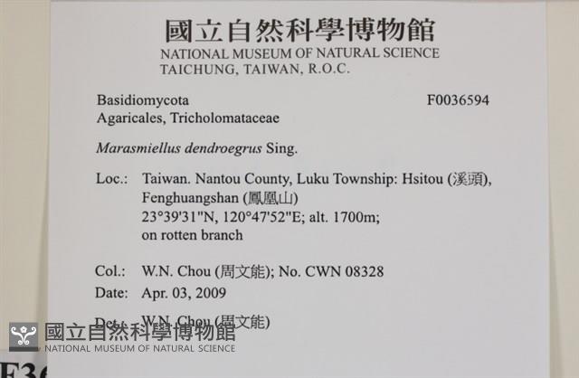 登錄號:F0036594藏品圖，第2張