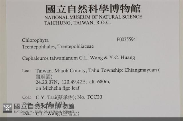 登錄號:F0035594藏品圖，第2張