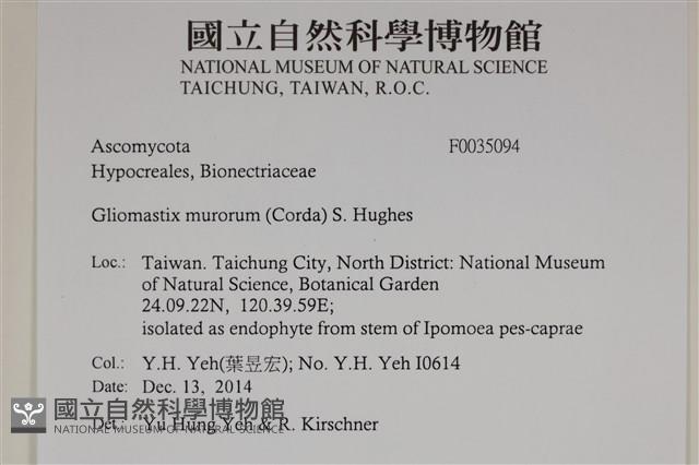 登錄號:F0035094藏品圖，第2張