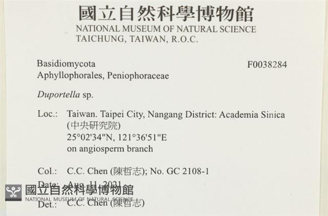 登錄號:F0038284藏品圖，第2張