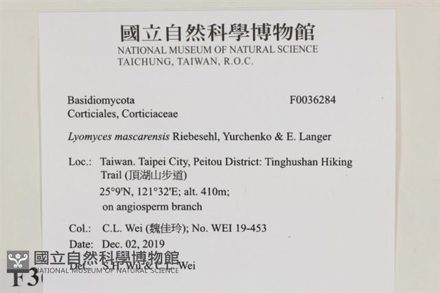 登錄號:F0036284藏品圖，第2張