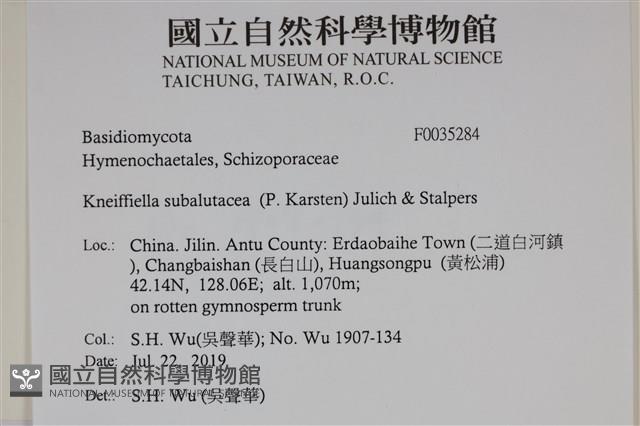 登錄號:F0035284藏品圖，第2張