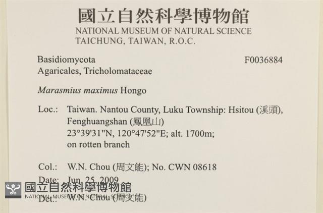 登錄號:F0036884藏品圖，第2張