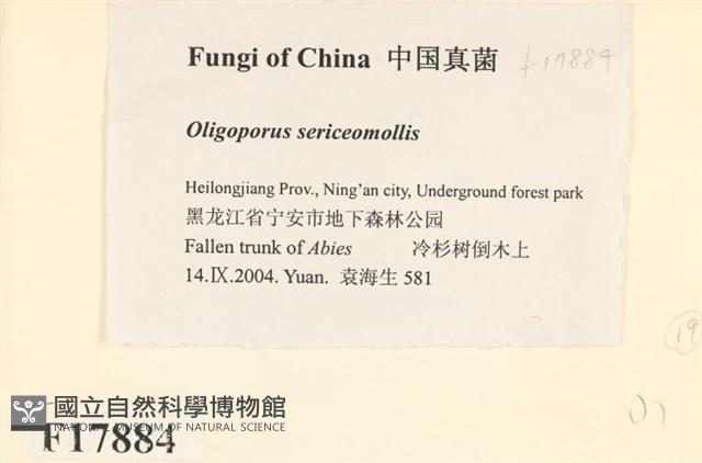 登錄號:F0017884藏品圖，第2張