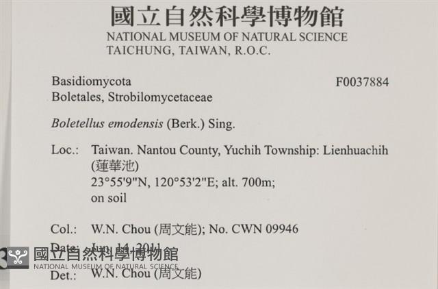 登錄號:F0037884藏品圖，第2張