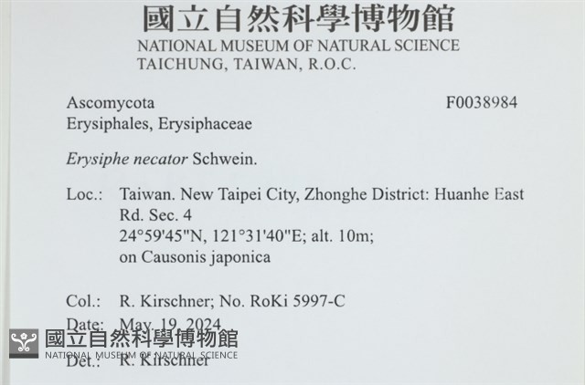 登錄號:F0038984藏品圖，第2張