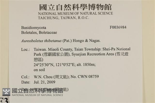 登錄號:F0036984藏品圖，第2張