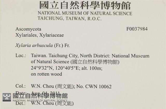 登錄號:F0037984藏品圖，第2張
