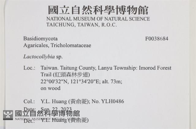 登錄號:F0038684藏品圖，第2張