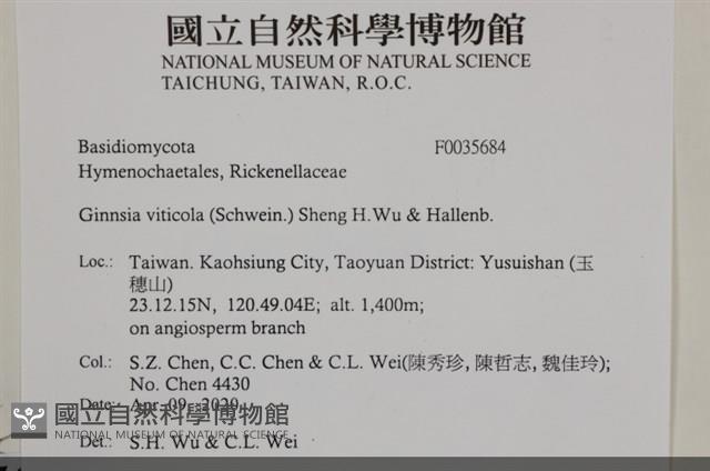 登錄號:F0035684藏品圖，第2張