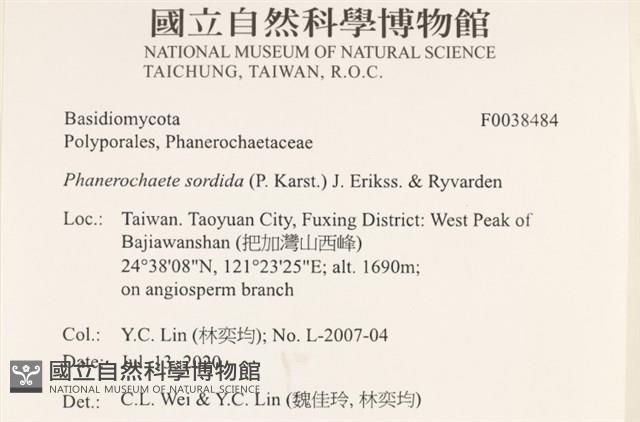 登錄號:F0038484藏品圖，第2張