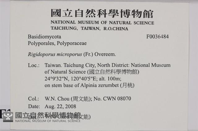 登錄號:F0036484藏品圖，第2張