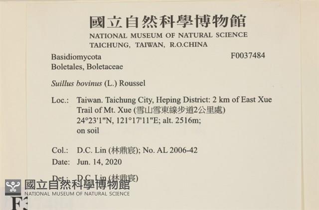 登錄號:F0037484藏品圖，第2張