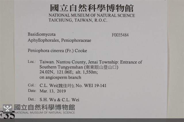 登錄號:F0035484藏品圖，第2張