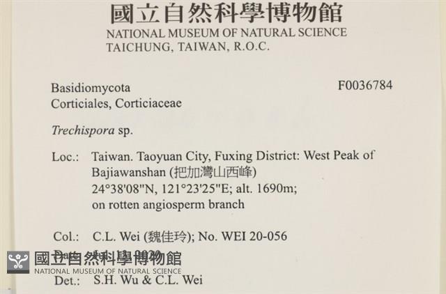 登錄號:F0036784藏品圖，第3張