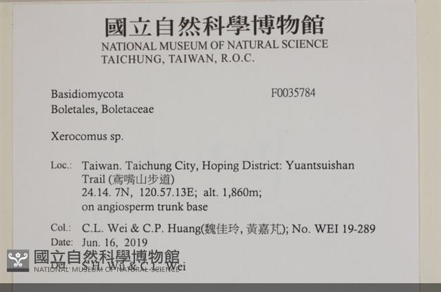 登錄號:F0035784藏品圖，第2張
