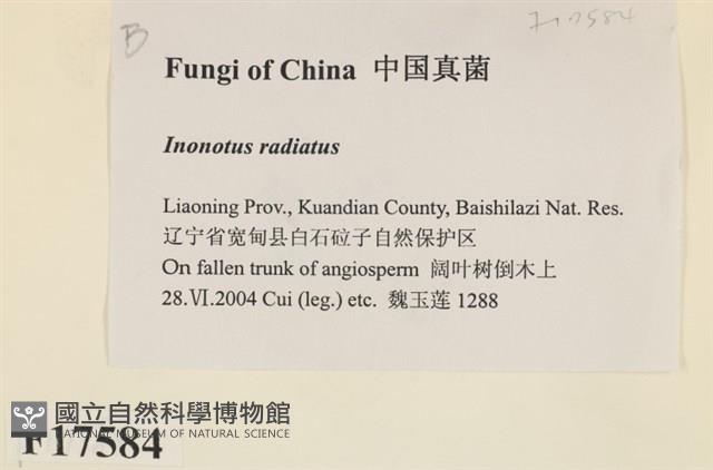 登錄號:F0017584藏品圖，第2張