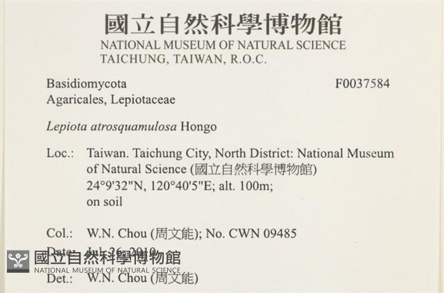 登錄號:F0037584藏品圖，第2張