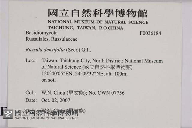 登錄號:F0036184藏品圖，第2張